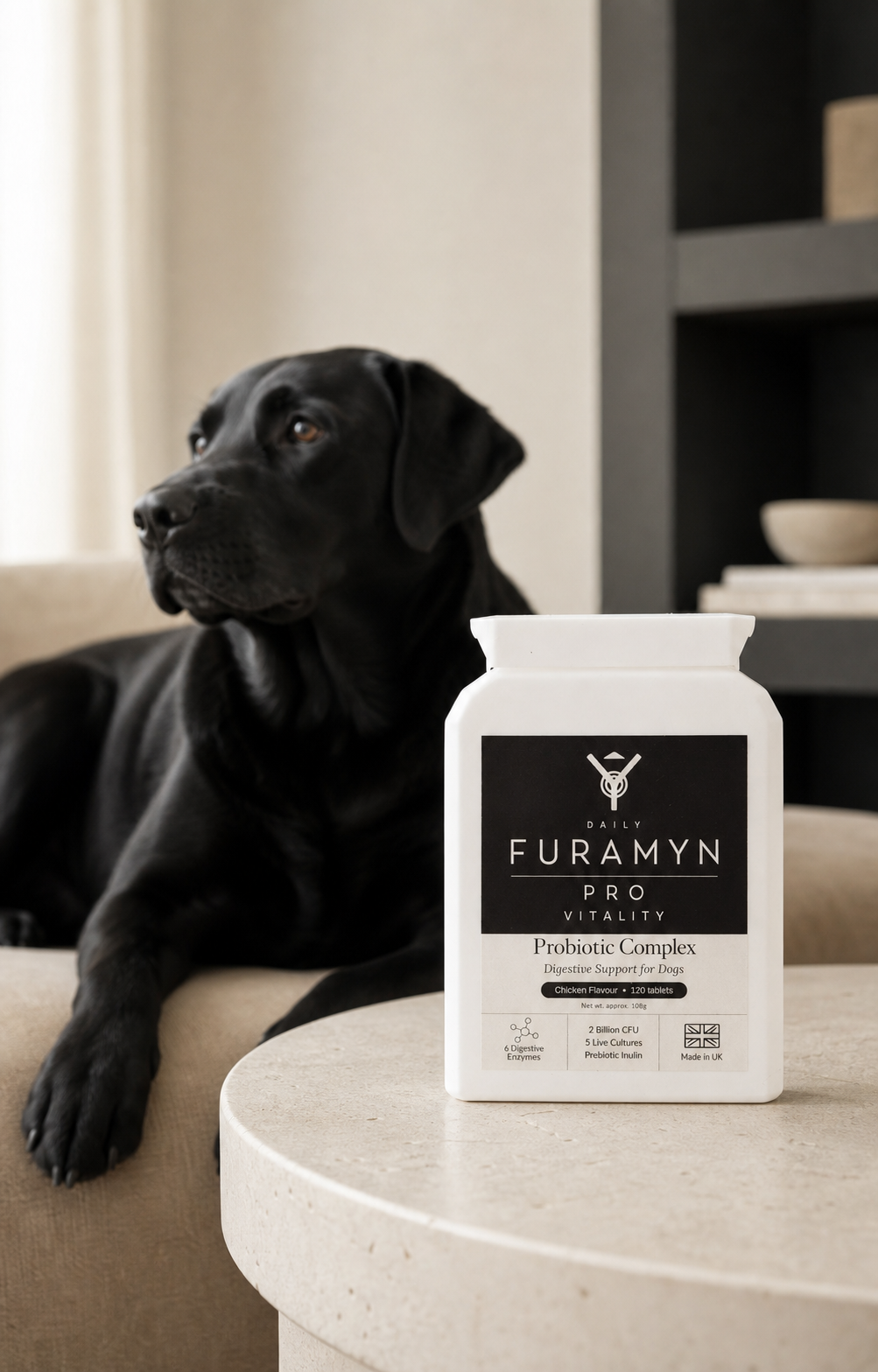 Furamyn Daily Pro Vitality bottle on a table beside a black labrador