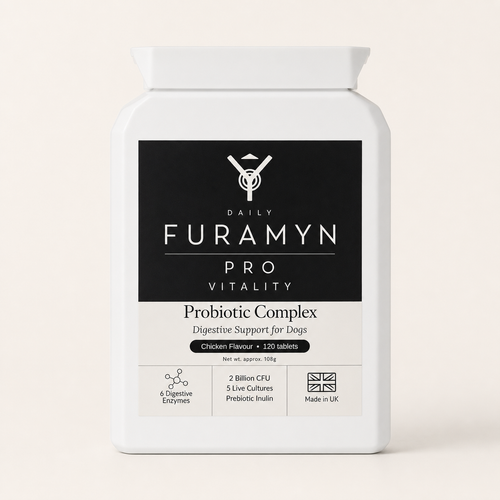 Furamyn Daily Pro Vitality — front of bottle. The 3 Pack is three of these bottles.